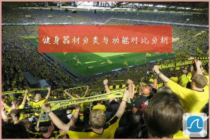 健身器材分类与功能对比分析