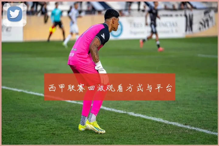 西甲联赛回放观看方式与平台