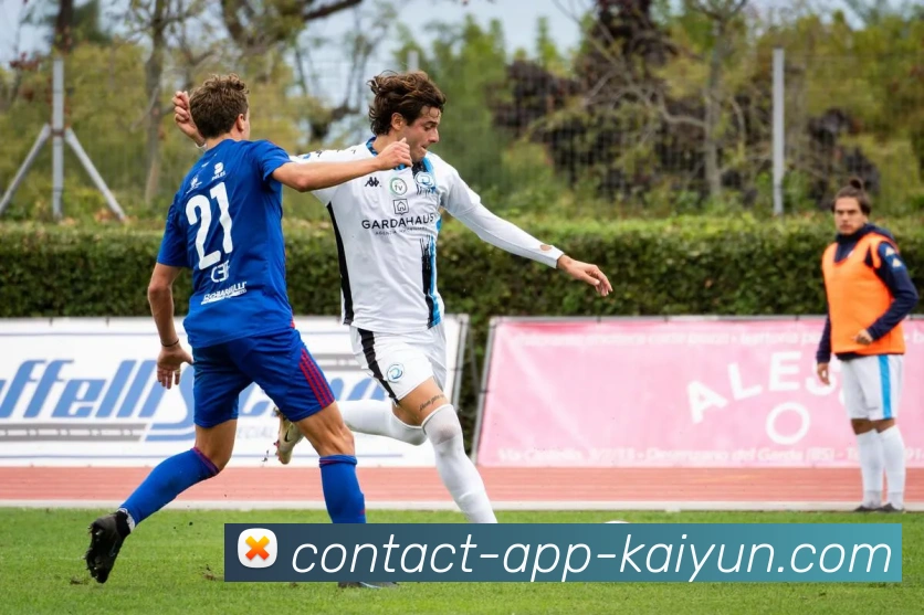 多媒体互动体验