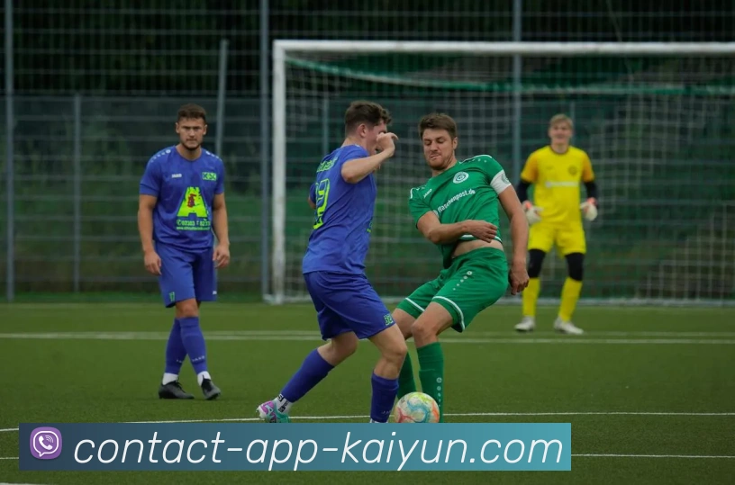 开云appAPP 体育赛事宣传图